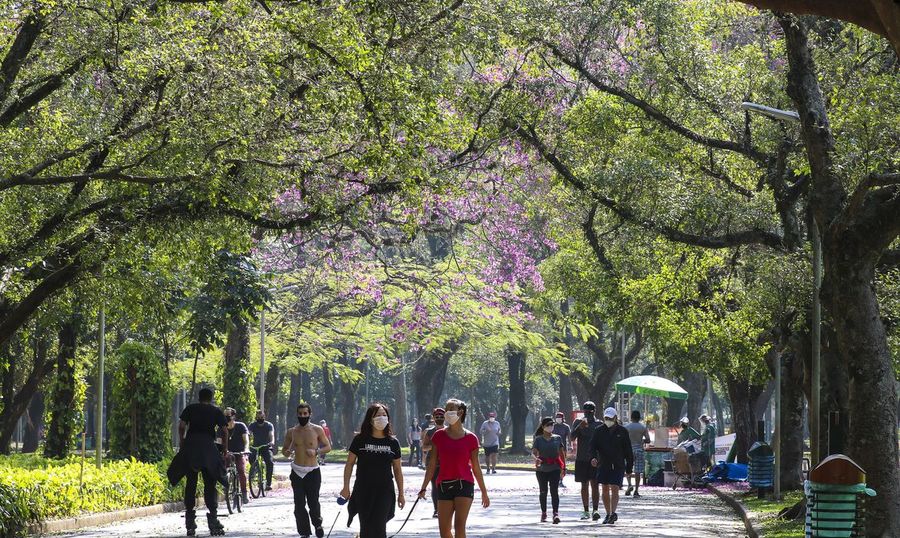Center 17 07 2020 covid ibirapuera
