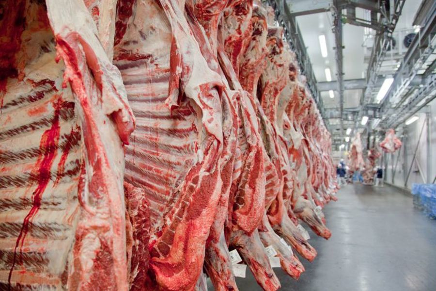 Center carne2