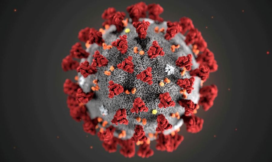 Center 2021 02 19t194154z 1 lynxmpeh1i1cj rtroptp 4 health coronavirus africa variant
