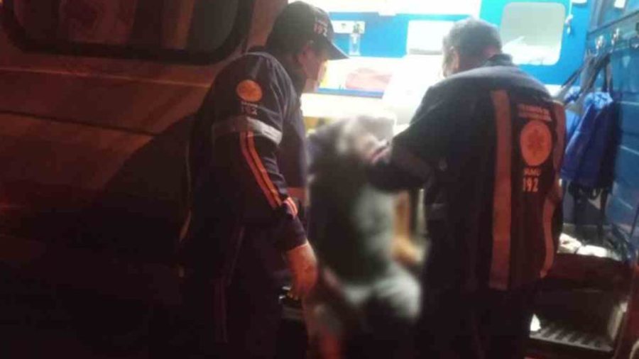 Center idoso agredido h7rzman widelg