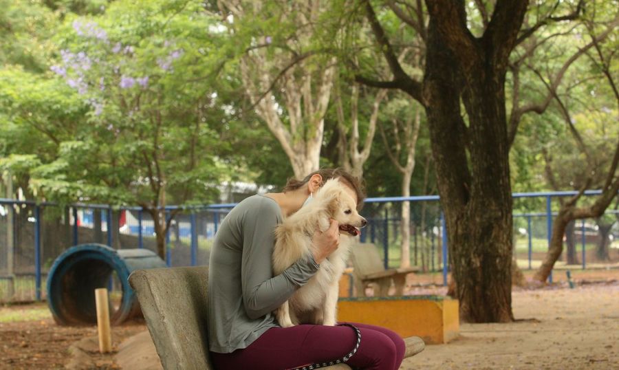 Center tutores com caes no parcao espaco exclusivo para cachorros na praca ayrton senna do brasil rvsa abr 103020210149 1