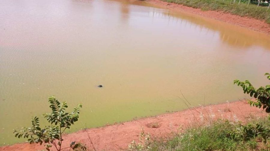 Center morto lagoa widelg