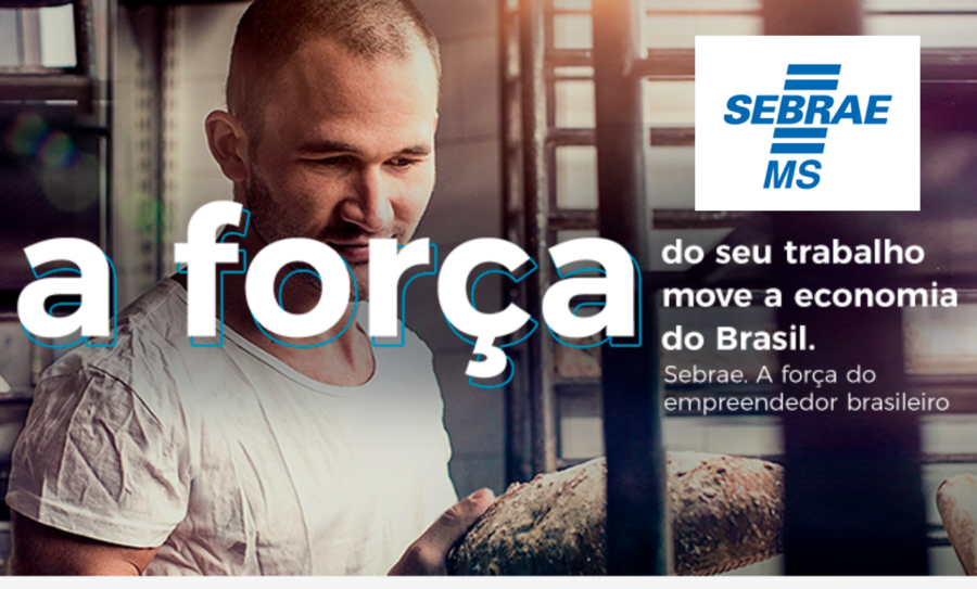 Center sebrae ms