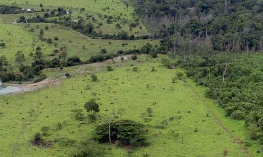 Center projeto rural na amazonia pnud