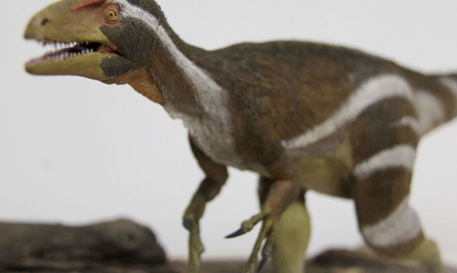 Center 10 07 2020 aratasaurus 3
