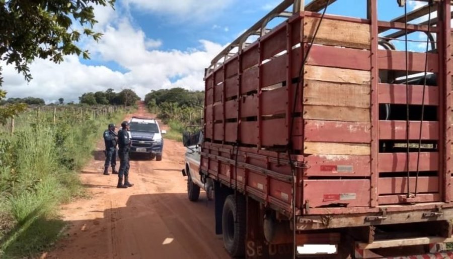 Center suspeitos no momento da abordagem policial 750x430