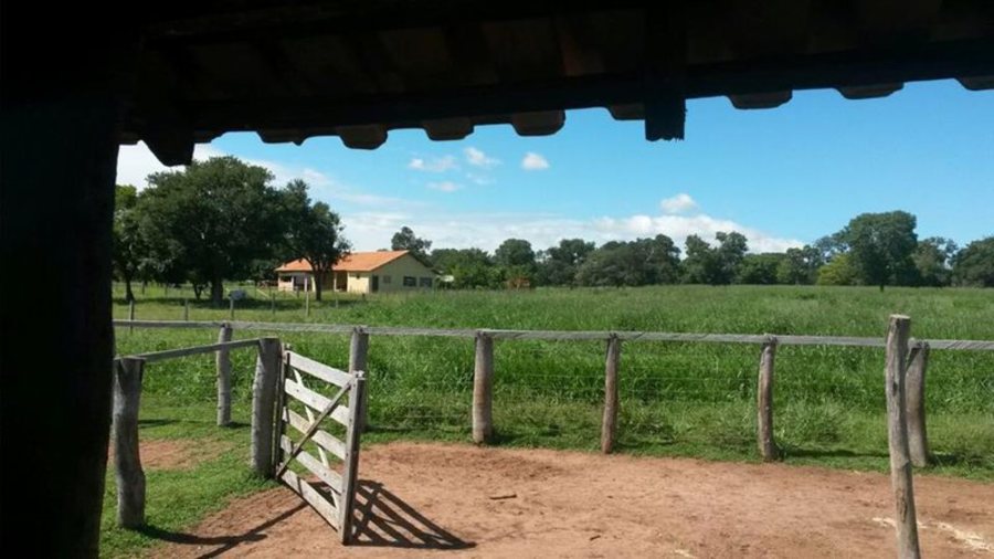 Center fazenda porteira ilustrativa widelg