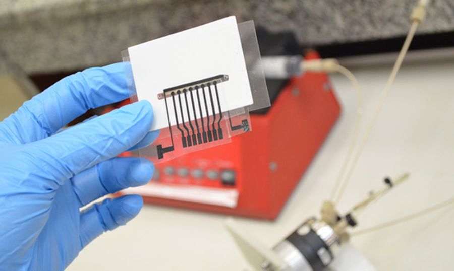 Center biomarcador para deteccao de alzheimer. credito divulgacao ufscar