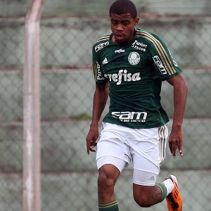 Lucas taylor jogador da base do palmeiras 1439226488986 300x300