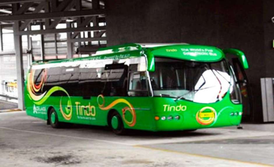 Onibusaustralia ecod 1