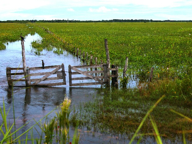 Propriedade alagada pantanal