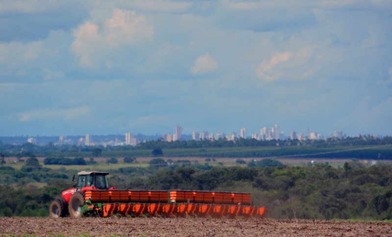 03 0317 0006 plantio de milho prjpg1