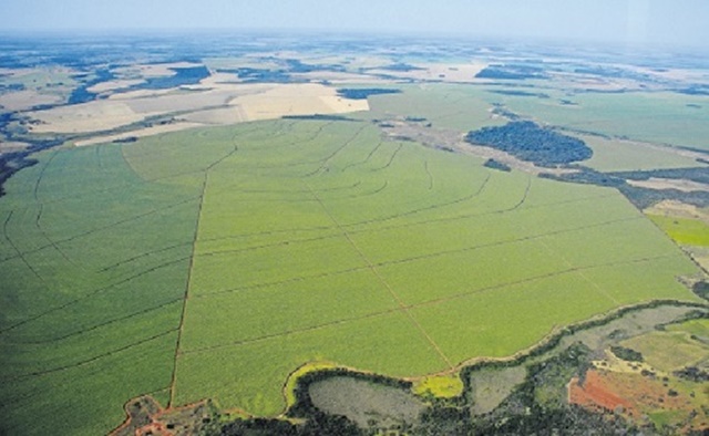 Propriedade rural paulo ribas