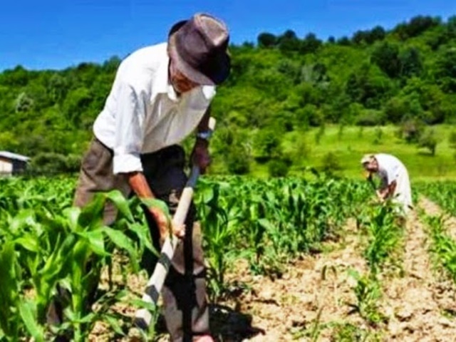 Agricultura familiar e sustentabilidade ambiental