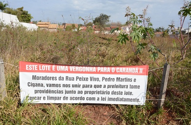 Caranda bosque matagal terreno go1