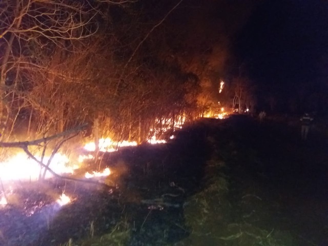 Incendio inocencia divulgacao bombeiros 7