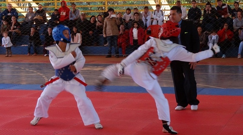 Taekwondo