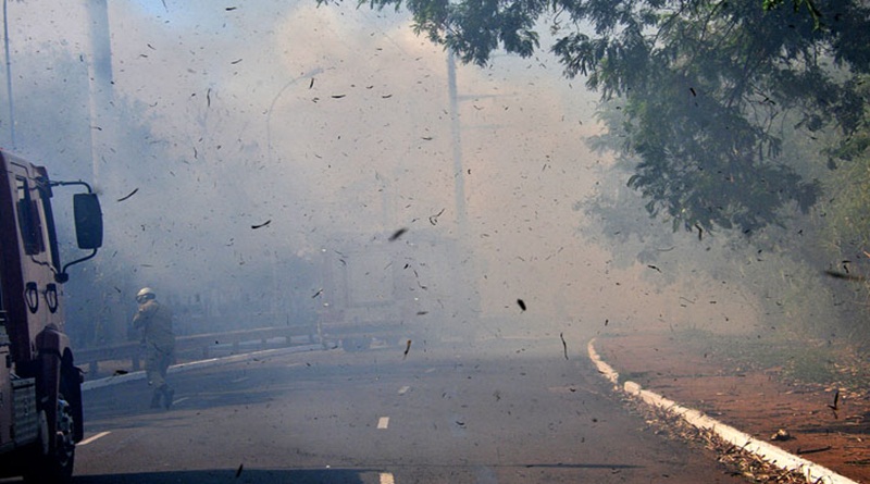 Fogo vegetacao prefeito heraclito valdenir rezende 2