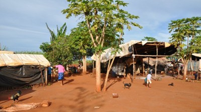 Indigenas agrotoxico mpf
