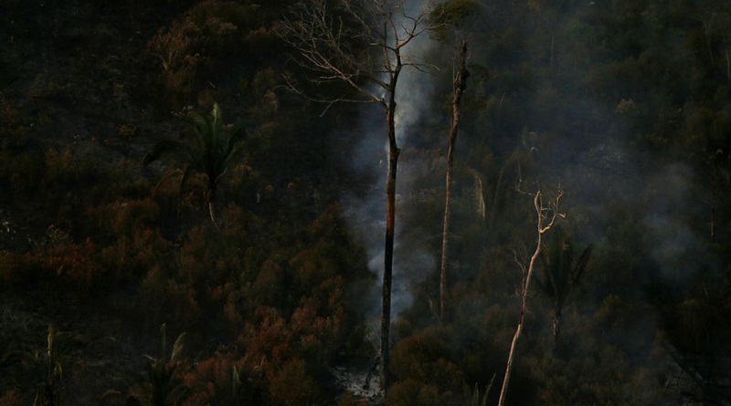 2019 08 29t231257z 1102615492 rc16b213bca0 rtrmadp 3 brazil environment wildfires