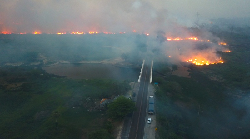 Fogo pantanal br 262 chico ribeiro