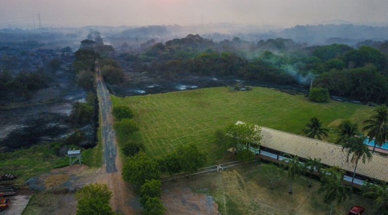Incendio pantanal